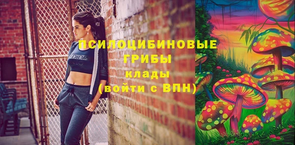 таблы Верхний Тагил