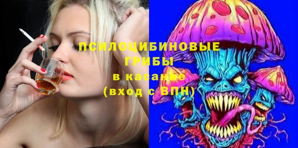 стафф Кинешма