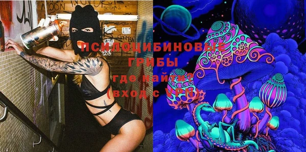 молекула духа Волосово