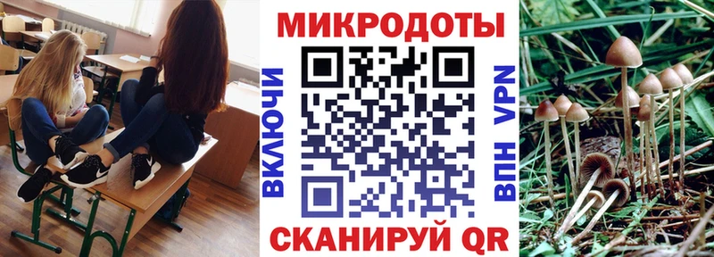 Галлюциногенные грибы Psilocybine cubensis  купить  сайты  Льгов 